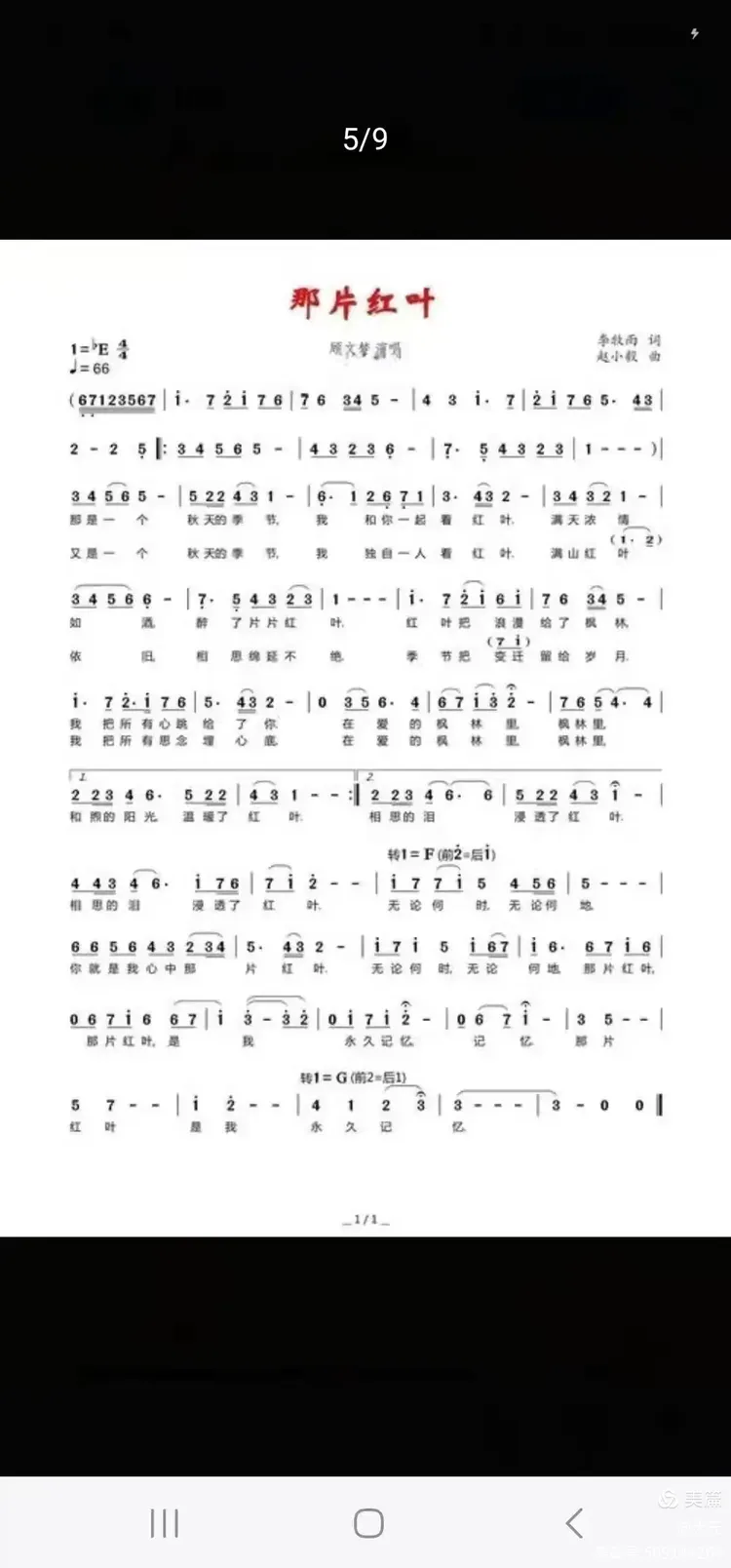 武汉黄陂的《那片红叶》